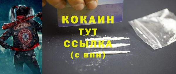 спиды Гусев