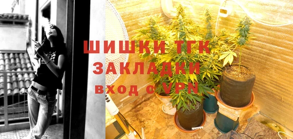 гидропоника Гусь-Хрустальный