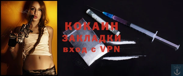 спиды Гусев